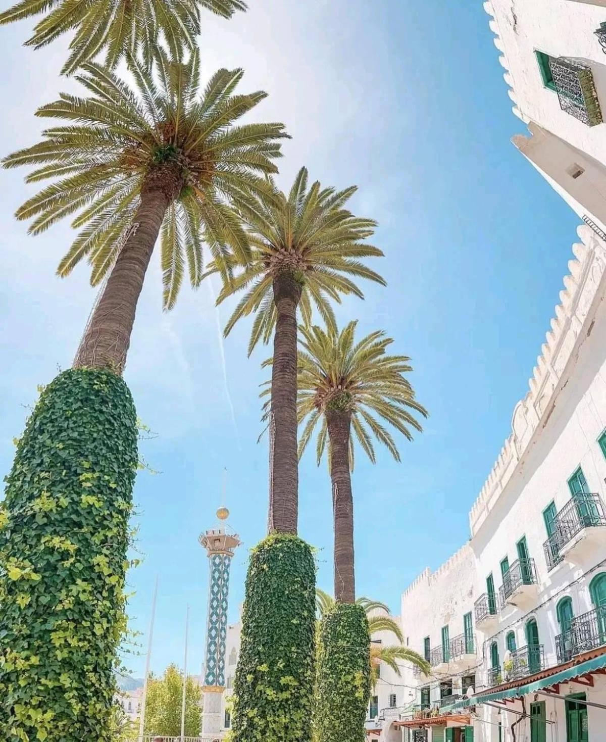 Casa Marwan Hostel Tetouan Exterior photo