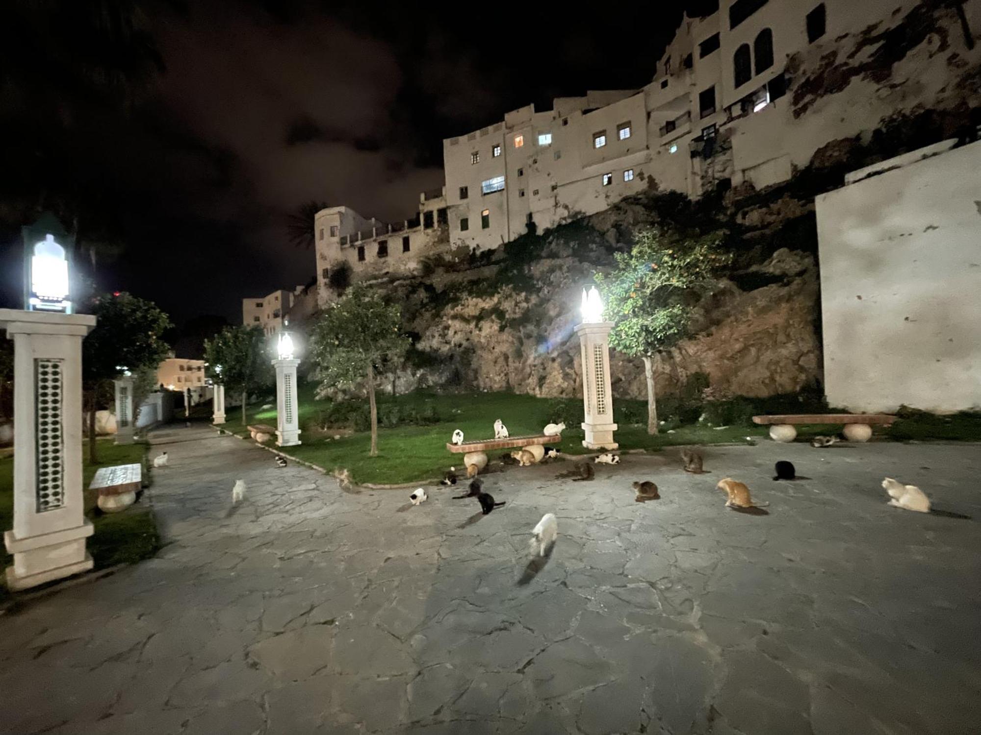 Casa Marwan Hostel Tetouan Exterior photo