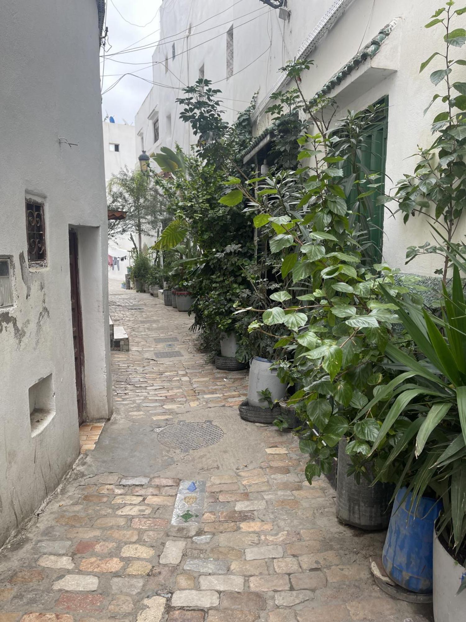 Casa Marwan Hostel Tetouan Exterior photo